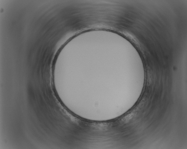 X0000062671286200601111234