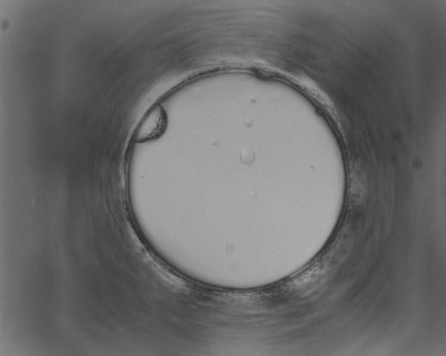 X0000062671287200601111234