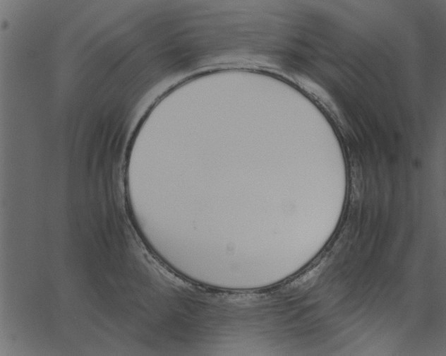 X0000062671288200601111234