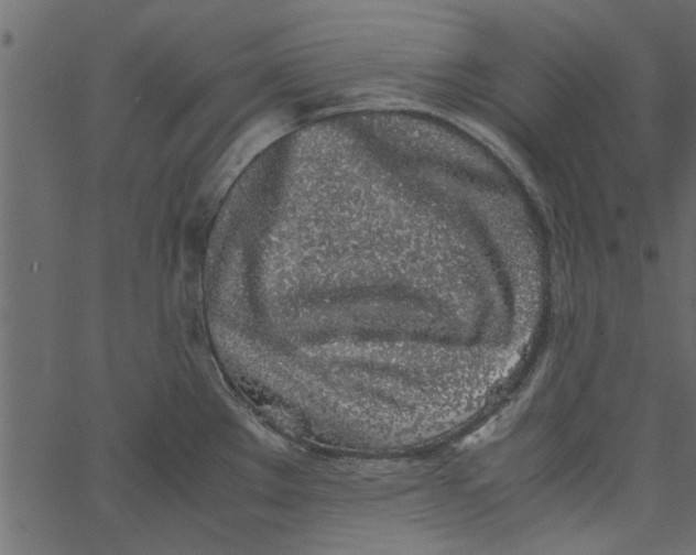 X0000062671289200601111234