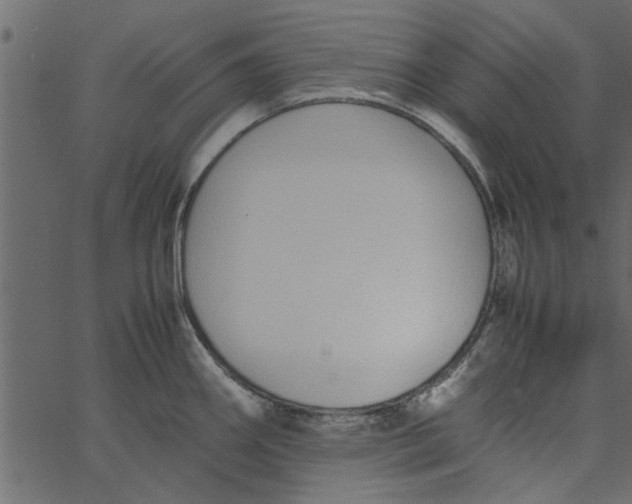 X0000062671290200601111234