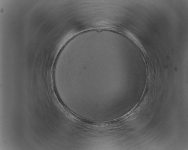 X0000062671291200601111234