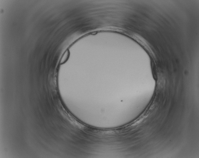 X0000062671292200601111234