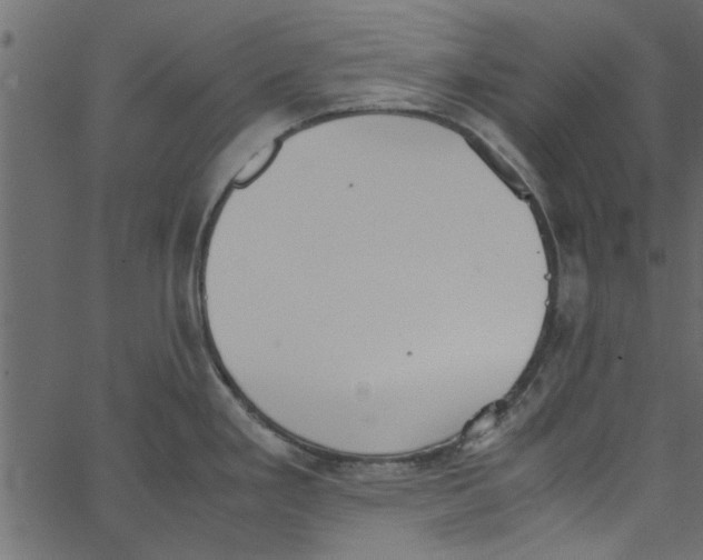 X0000062671293200601111234