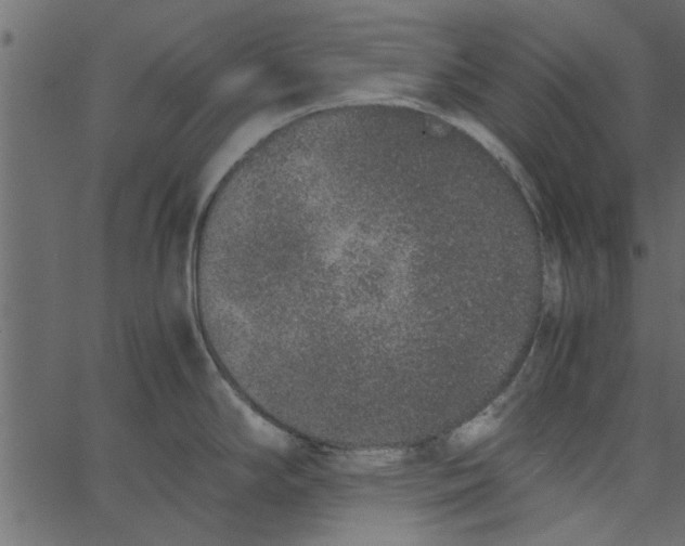 X0000062671294200601111234