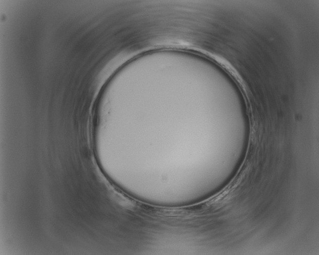 X0000062671295200601111234