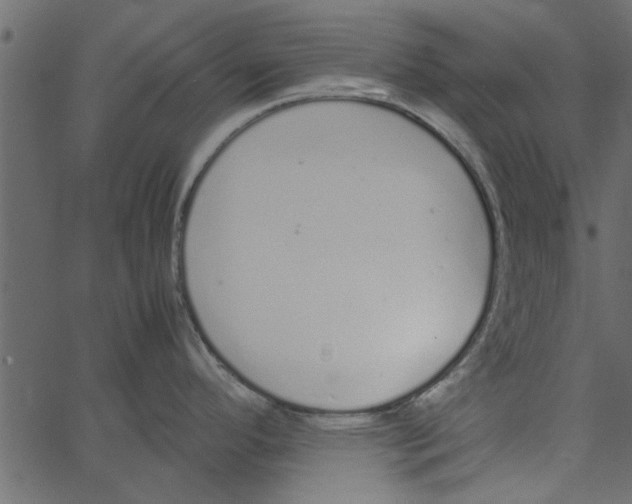 X0000062671296200601111234