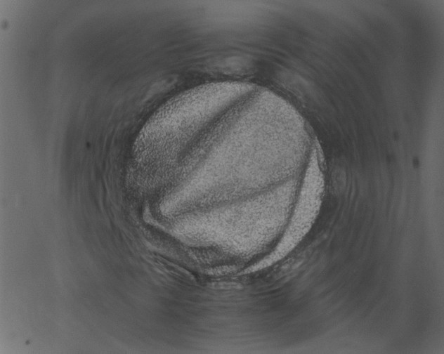 X0000062671297200601111233