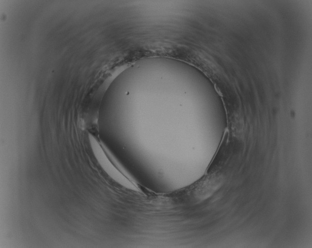 X0000062671298200601111233