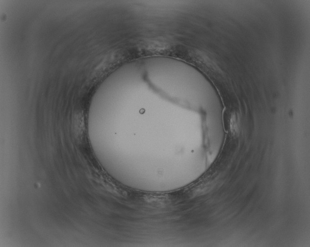 X0000062671299200601111233