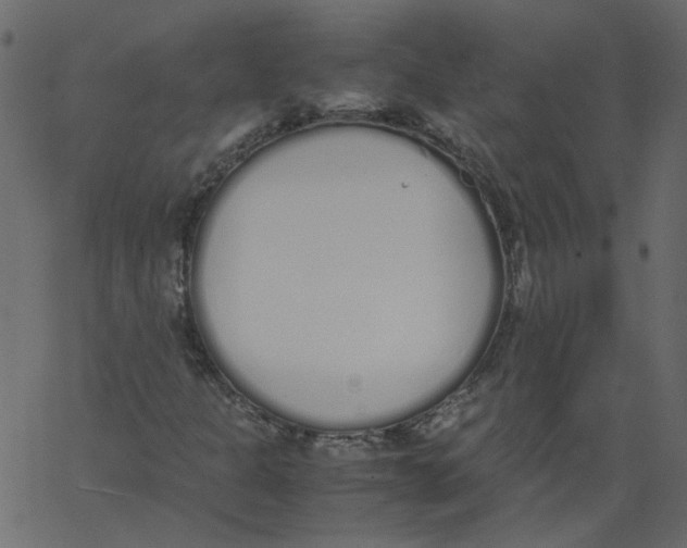 X0000062671301200601111233