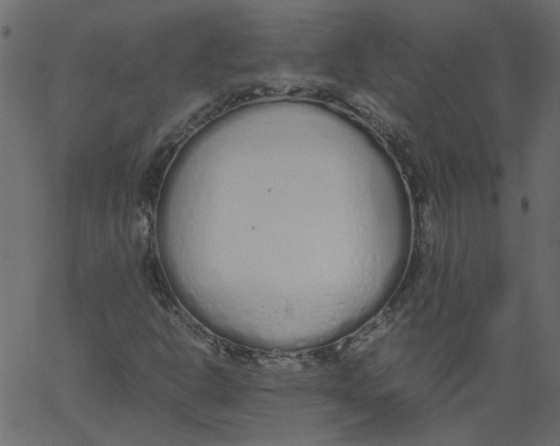 X0000062671302200601111233