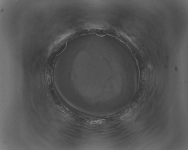 X0000062671303200601111233