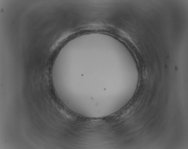 X0000062671304200601111233