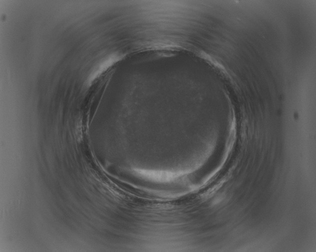 X0000062671306200601111234