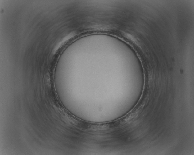 X0000062671307200601111234