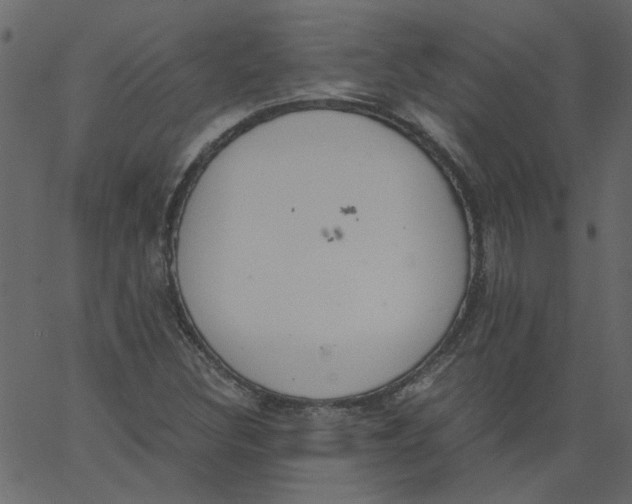 X0000062671308200601111234