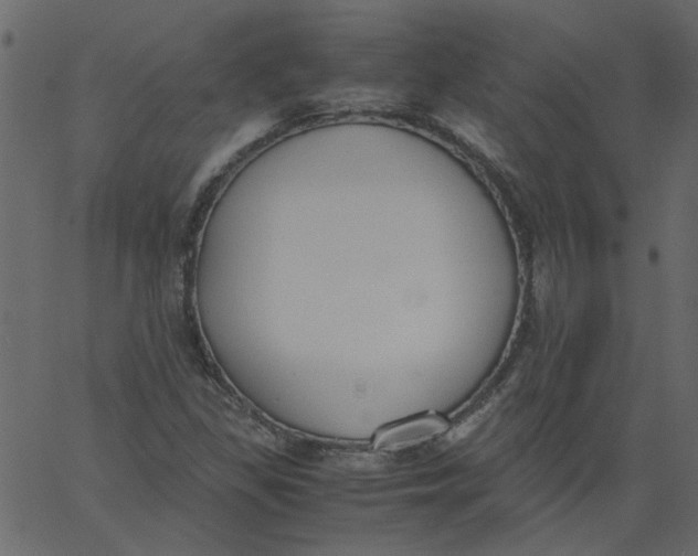 X0000062671309200601111234