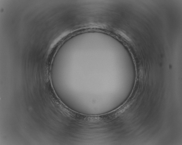 X0000062671310200601111234