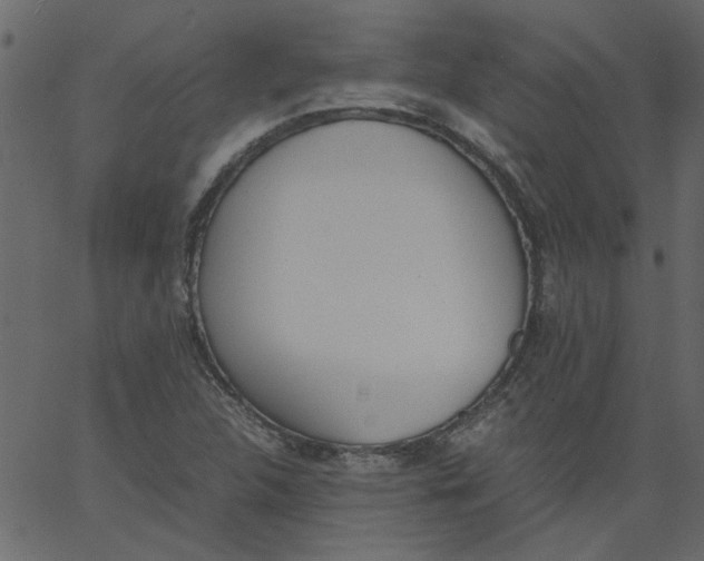 X0000062671312200601111234