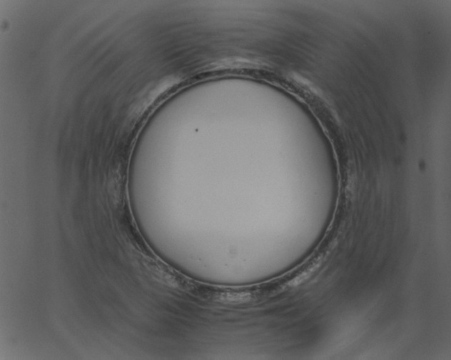 X0000062671313200601111234