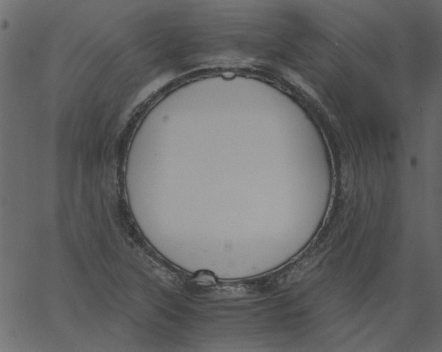 X0000062671315200601111234