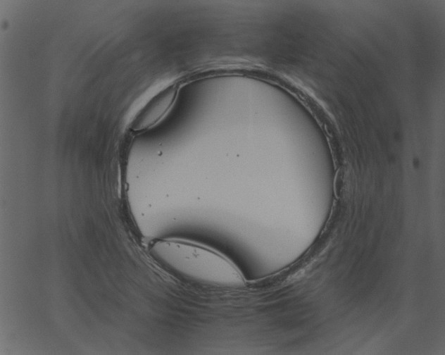 X0000062671317200601111234