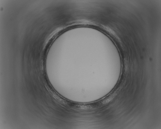 X0000062671318200601111234