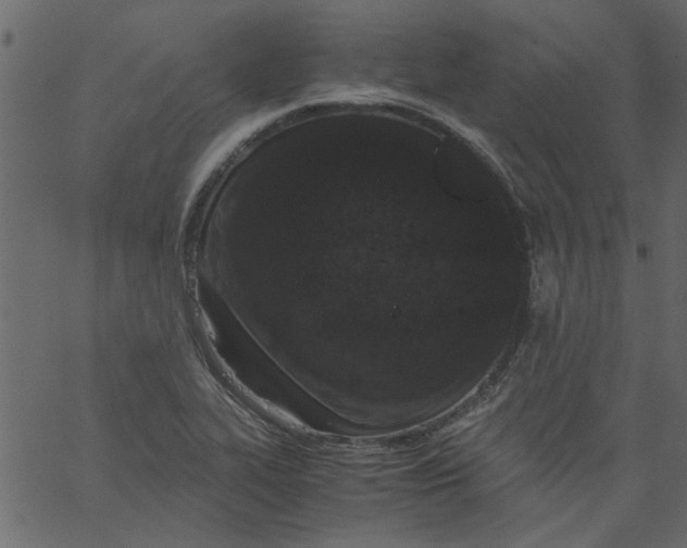 X0000062671319200601111234