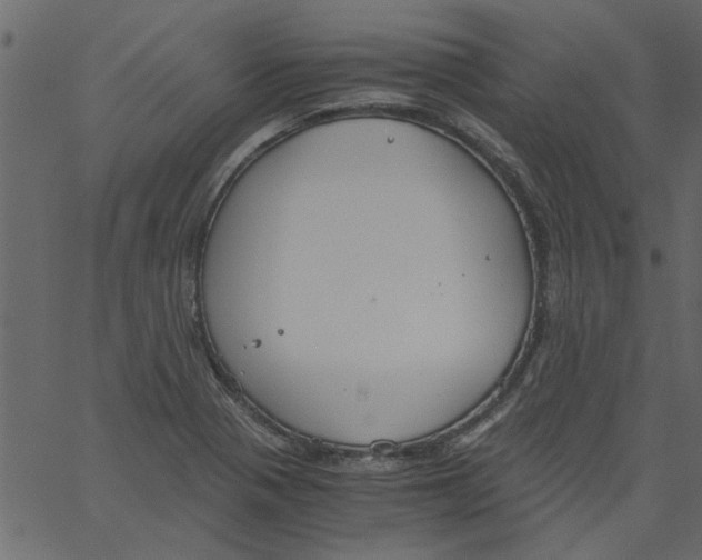 X0000062671321200601111234