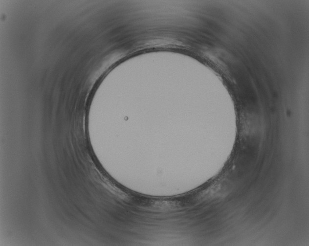 X0000062671322200601111234