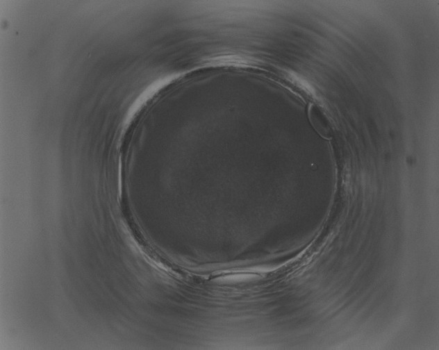 X0000062671323200601111234