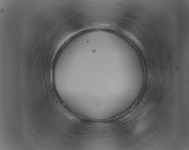 X0000062671324200601111234