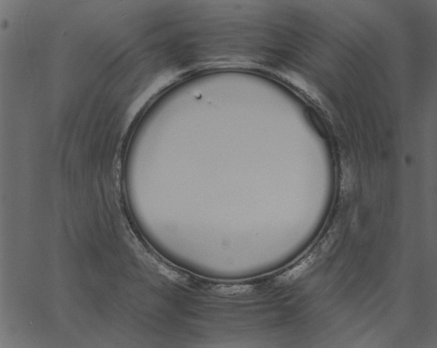 X0000062671325200601111234