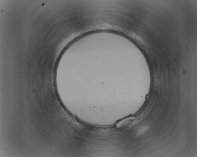 X0000062671326200601111234