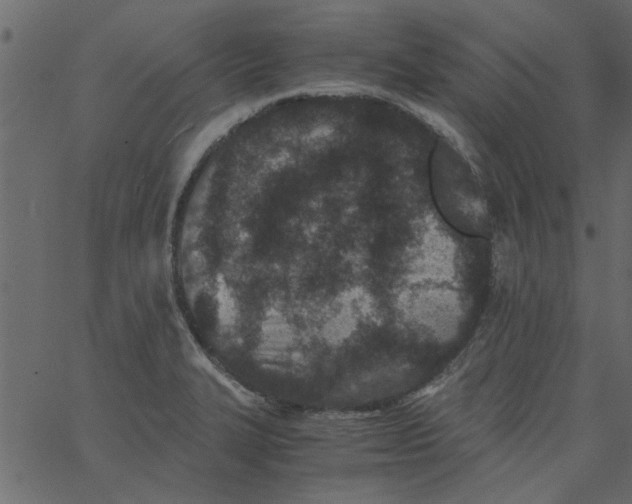 X0000062671327200601111234