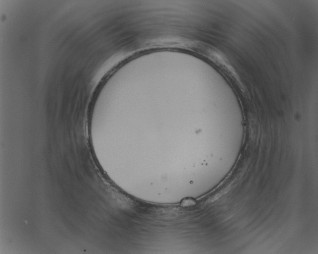 X0000062671328200601111234