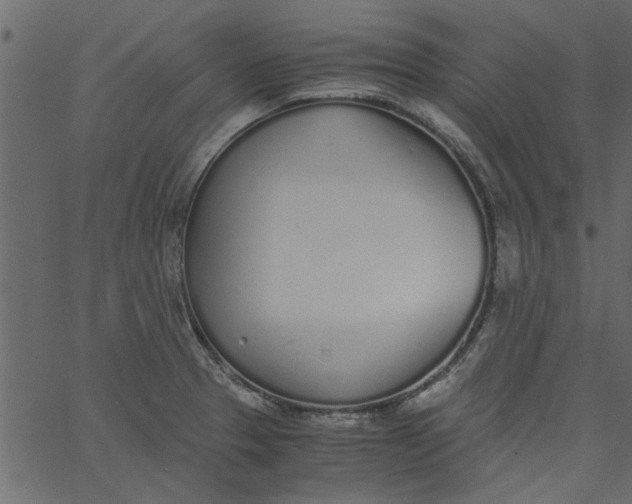 X0000062671329200601111234