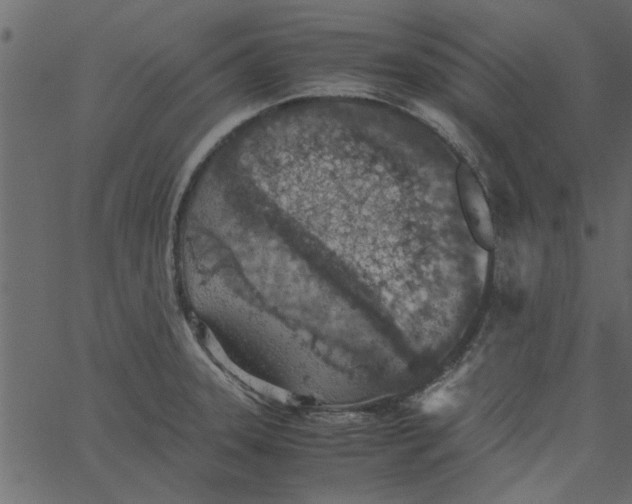 X0000062671331200601111234