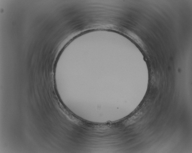 X0000062671332200601111234