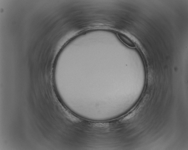 X0000062671333200601111234