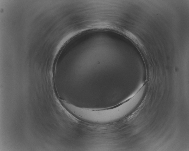 X0000062671334200601111234