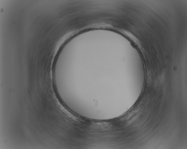 X0000062671335200601111234