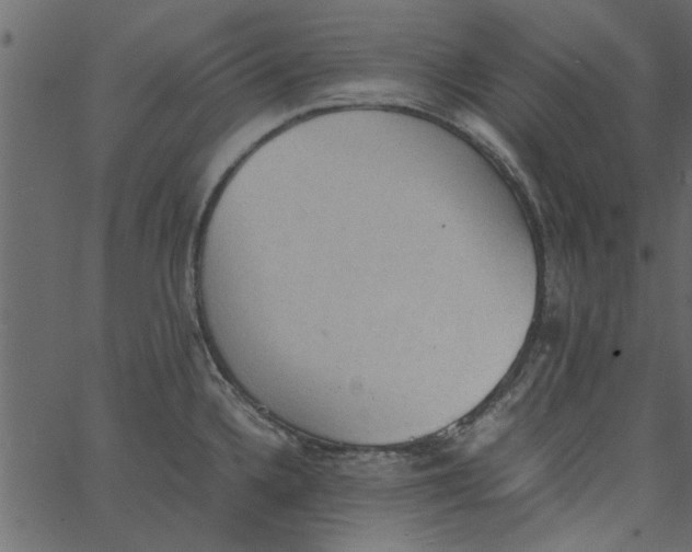 X0000062671336200601111234