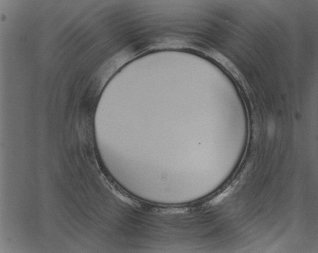 X0000062671337200601111234