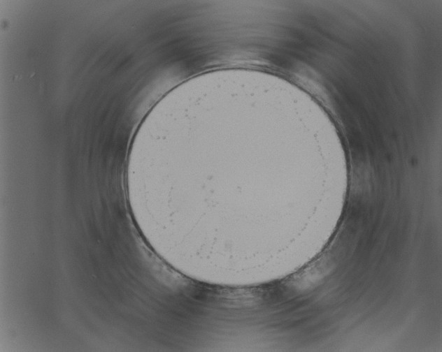 X0000062671338200601111234