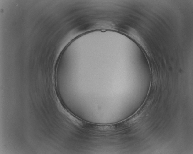 X0000062671339200601111234