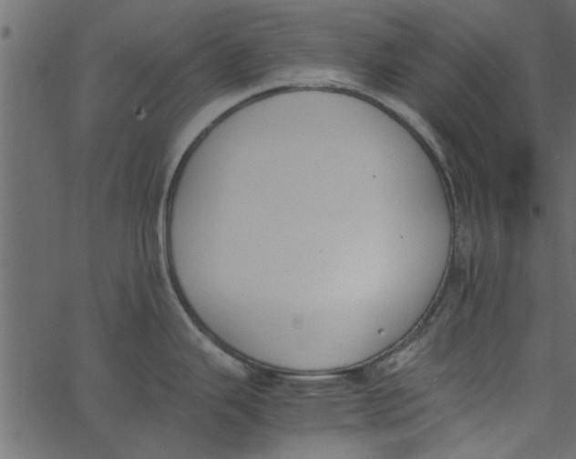 X0000062671343200601111234