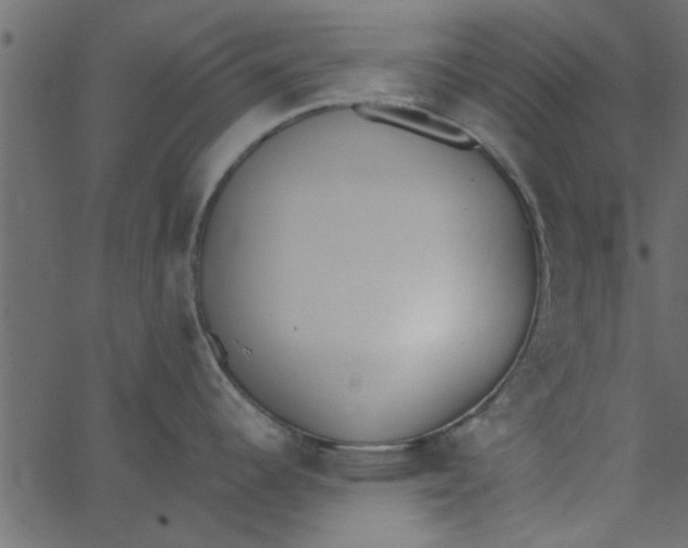 X0000062671344200601111234