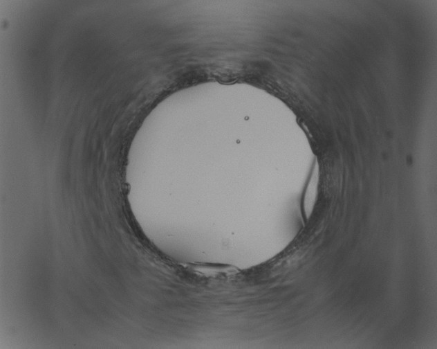 X0000062671345200601111233